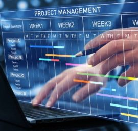 The Essentials of Successful Project Management